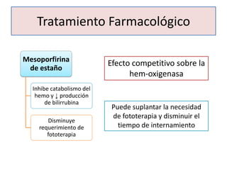 Tratamiento Farmacológico

Mesoporfirina
                           Efecto competitivo sobre la
 de estaño
                                 hem-oxigenasa
  Inhibe catabolismo del
   hemo y ↓ producción
       de bilirrubina
                            Puede suplantar la necesidad
                            de fototerapia y disminuir el
       Disminuye
    requerimiento de          tiempo de internamiento
       fototerapia
 