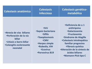 Colestasis          Colestasis genético-
Colestasis anatómica
                               infecciosa              metabólica


                                                      •Deficiencia de  1
                                    •IVU                  antitripsina
                            •Sepsis bacteriana          •Galactosemia
•Atresia de vías biliares
                                   •Sífilis              •Fructosemia
 •Perforación de la vía
                              •Toxoplasmosis        •Síndrome de Alagille
           biliar
                                   •CMV           •Colestasis intrahepática
 •Litiasis o barro biliar
                              •Herpes simple          familiar progresiva
•Colangitis esclerosante
                               •Rubeóla, VIH           •Fibrosis quística
        neonatal
                                 •Ecovirus       •Alteración de la síntesis de
                             •Parvovirus B19            ácidos biliares
                                                    •Niemann-Pick tipo C
 