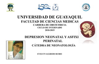 UNIVERSIDAD DE GUAYAQUIL
FACULTAD DE CIENCIAS MEDICAS
CARRERA DE OBSTETRICIA
CICLO DE INTERNADO
2018-2019
DEPRESION NEONATAL Y ASFIXIA
PERINATAL
CÁTEDRA DE NEONATOLOGÍA
EVELYN SAGREDO RUBIO
 