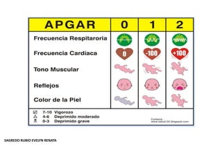 SAGREDO RUBIO EVELYN RENATA
 