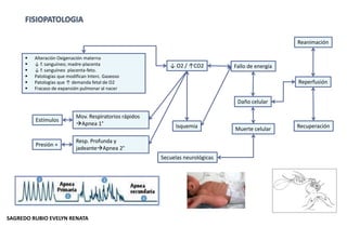  Alteración Oxigenación materna
 ↓ f. sanguíneo; madre-placenta
 ↓ f. sanguíneo placenta-feto.
 Patologías que modifican Interc. Gaseoso
 Patologías que ↑ demanda fetal de O2
 Fracaso de expansión pulmonar al nacer
↓ O2 / ↑CO2
Isquemia
Fallo de energía
Daño celular
Muerte celular
Secuelas neurológicas
Reperfusión
Reanimación
Recuperación
Mov. Respiratorios rápidos
Apnea 1°
Resp. Profunda y
jadeanteApnea 2°
Estímulos
Presión +
SAGREDO RUBIO EVELYN RENATA
 