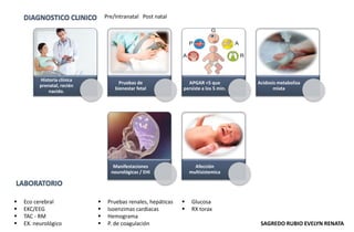 Historia clínica
prenatal, recién
nacido.
Pruebas de
bienestar fetal
APGAR <5 que
persiste a los 5 min.
Acidosis metaboliza
mixta
Manifestaciones
neurológicas / EHI
Afección
multisistemica
 Eco cerebral
 EKC/EEG
 TAC - RM
 EX. neurológico
 Pruebas renales, hepáticas
 Isoenzimas cardiacas
 Hemograma
 P. de coagulación
 Glucosa
 RX torax
Pre/Intranatal Post natal
SAGREDO RUBIO EVELYN RENATA
 