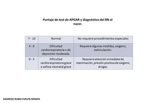 Puntaje de test de APGAR y diagnóstico del RN al
nacer.
SAGREDO RUBIO EVELYN RENATA
 