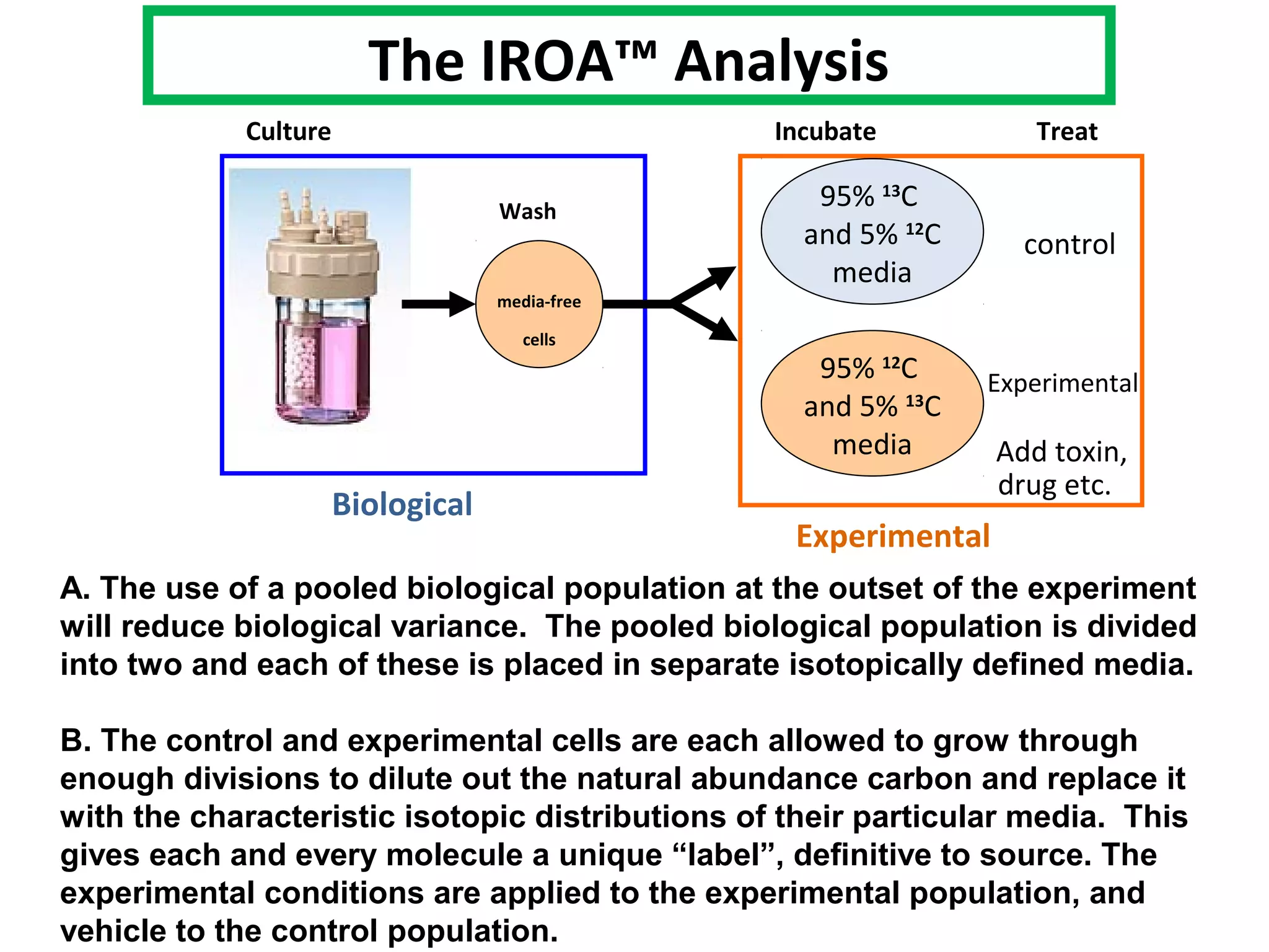 media-free
cells
Wash
Culture
Biological
A. The use of a pooled biological population at the outset of the experiment
will reduce biological variance. The pooled biological population is divided
into two and each of these is placed in separate isotopically defined media.
B. The control and experimental cells are each allowed to grow through
enough divisions to dilute out the natural abundance carbon and replace it
with the characteristic isotopic distributions of their particular media. This
gives each and every molecule a unique “label”, definitive to source. The
experimental conditions are applied to the experimental population, and
vehicle to the control population.
The IROA™ Analysis
95% 12
C
and 5% 13
C
media
control
Experimental
TreatIncubate
Experimental
95% 13
C
and 5% 12
C
media
drug etc.
Add toxin,
 