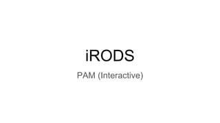 iRODS
PAM (Interactive)
 