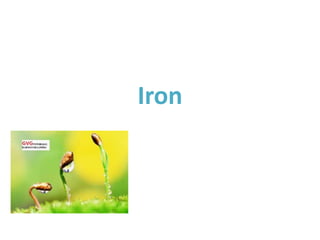 Iron
 