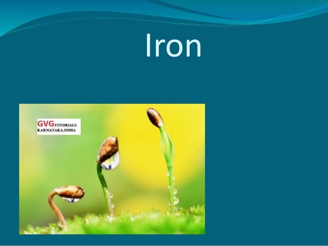 Iron
 