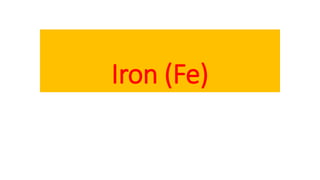 Iron (Fe)
 
