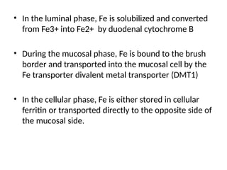 Fe2 Border IRON and it's metabolism and it's disorder.pptx
