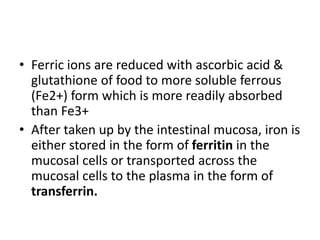 Iron deficiency anemia | PPTX Iron deficiency anemia | PPTX