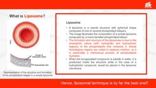 What is Liposome?
• A liposome is a vesicle structure with spherical shape
composed of one or several phospholipid bilayers.
• The image illustrates the composition of a simple liposome
composed by a mono lamellar phospholipid bilayer.
• The formation and structure of the liposomes is due to the
amphiphilic nature (with hydrophilic and hydrophobic
regions) of the phospholipids that compose it, whose
homologous regions are united in aqueous medium, so it
is essentially a mechanical process of phospholipids
hydration.
• When the encapsulated compound is soluble in water, it is
positioned inside the structure while in the case of a
hydrophobic compound, would be placed in the liposome
membrane
Liposome
Hence, liposomal technique is by far the best one!!
Representation of the structure and formation
of the phospholipid bilayer in a simple liposome
 