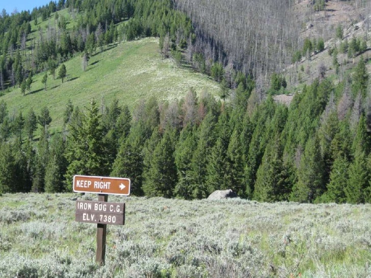 Iron Bog Lake Part 1 July 12 2010 Ppt