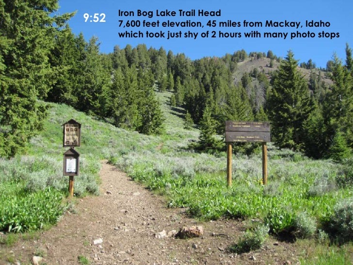 Iron Bog Lake Part 1 July 12 2010 Ppt