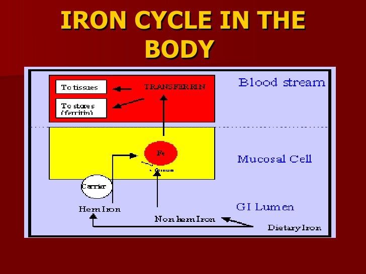 Iron def.ninad final