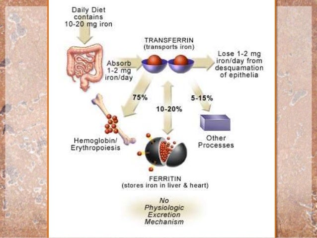 pica iron deficiency sour pica iron deficiency sour