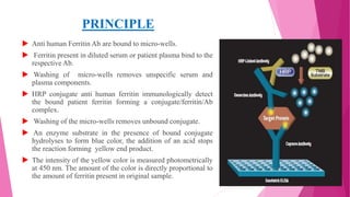 PRINCIPLE
 Anti human Ferritin Ab are bound to micro-wells.
 Ferritin present in diluted serum or patient plasma bind to the
respective Ab.
 Washing of micro-wells removes unspecific serum and
plasma components.
 HRP conjugate anti human ferritin immunologically detect
the bound patient ferritin forming a conjugate/ferritin/Ab
complex.
 Washing of the micro-wells removes unbound conjugate.
 An enzyme substrate in the presence of bound conjugate
hydrolyses to form blue color, the addition of an acid stops
the reaction forming yellow end product.
 The intensity of the yellow color is measured photometrically
at 450 nm. The amount of the color is directly proportional to
the amount of ferritin present in original sample.
 