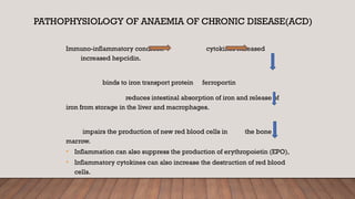 Iron Deficiency Anaemia Revisited (1).pptx