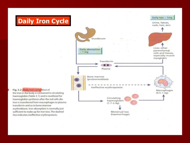 Iron deficiency anemia