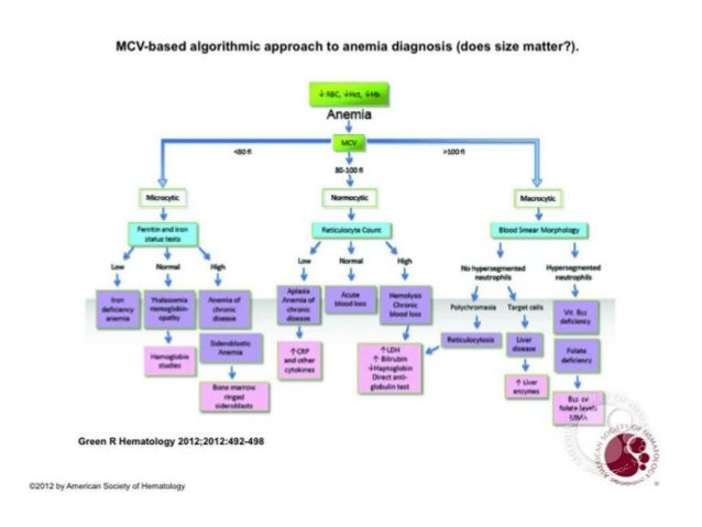 Iron Deficiency Anemia Primary Care Pathway – KRXT