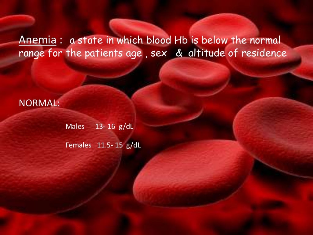 Iron deficiency anemia Investigations