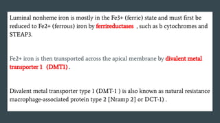 Iron Deficiency Anemia - Etiology , Clinical Features and Management.pdf