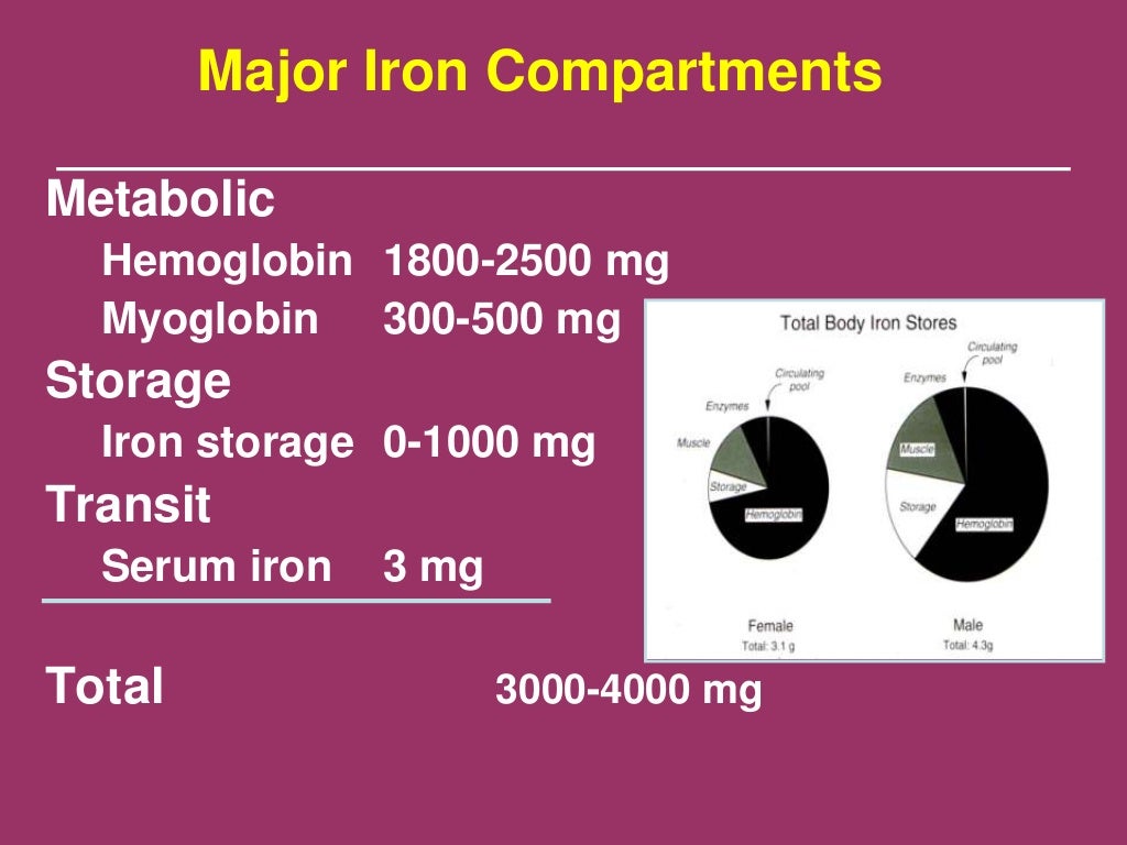 Stages Of Iron Deficiency Anemia