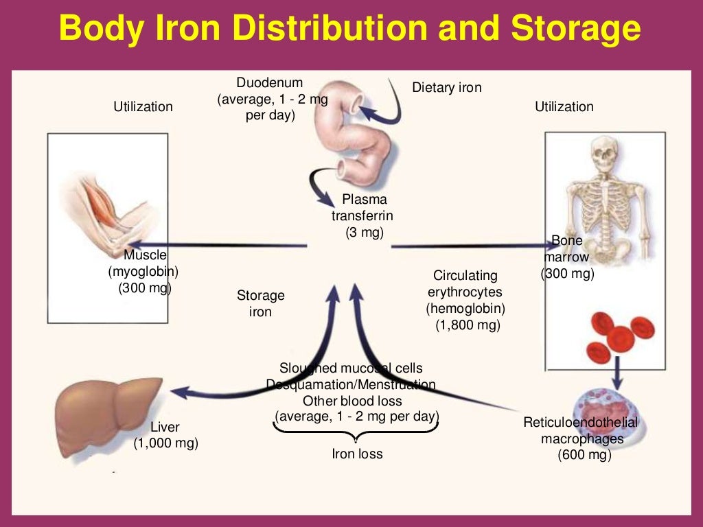 Iron deficiency anemia