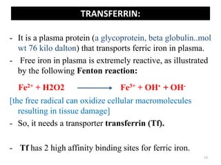 TRANSFERRIN:
- It is a plasma protein (a glycoprotein, beta globulin..mol
wt 76 kilo dalton) that transports ferric iron in plasma.
- Free iron in plasma is extremely reactive, as illustrated
by the following Fenton reaction:
Fe2+ + H2O2 Fe3+ + OH. + OH-
[the free radical can oxidize cellular macromolecules
resulting in tissue damage]
- So, it needs a transporter transferrin (Tf).
- Tf has 2 high affinity binding sites for ferric iron.
12
 