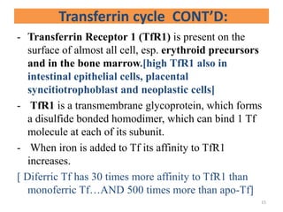- Transferrin Receptor 1 (TfR1) is present on the
surface of almost all cell, esp. erythroid precursors
and in the bone marrow.[high TfR1 also in
intestinal epithelial cells, placental
syncitiotrophoblast and neoplastic cells]
- TfR1 is a transmembrane glycoprotein, which forms
a disulfide bonded homodimer, which can bind 1 Tf
molecule at each of its subunit.
- When iron is added to Tf its affinity to TfR1
increases.
[ Diferric Tf has 30 times more affinity to TfR1 than
monoferric Tf…AND 500 times more than apo-Tf]
Transferrin cycle CONT’D:
15
 