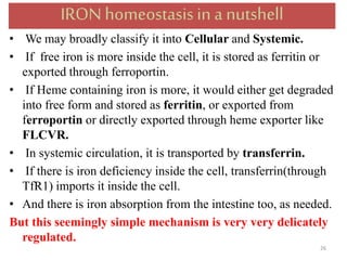 IRON homeostasis in a nutshell
• We may broadly classify it into Cellular and Systemic.
• If free iron is more inside the cell, it is stored as ferritin or
exported through ferroportin.
• If Heme containing iron is more, it would either get degraded
into free form and stored as ferritin, or exported from
ferroportin or directly exported through heme exporter like
FLCVR.
• In systemic circulation, it is transported by transferrin.
• If there is iron deficiency inside the cell, transferrin(through
TfR1) imports it inside the cell.
• And there is iron absorption from the intestine too, as needed.
But this seemingly simple mechanism is very very delicately
regulated.
26
 