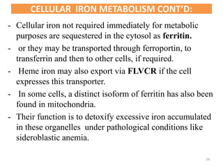 - Cellular iron not required immediately for metabolic
purposes are sequestered in the cytosol as ferritin.
- or they may be transported through ferroportin, to
transferrin and then to other cells, if required.
- Heme iron may also export via FLVCR if the cell
expresses this transporter.
- In some cells, a distinct isoform of ferritin has also been
found in mitochondria.
- Their function is to detoxify excessive iron accumulated
in these organelles under pathological conditions like
sideroblastic anemia.
CELLULAR IRON METABOLISM CONT’D:
29
 
