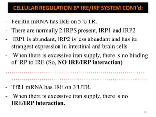 - Ferritin mRNA has IRE on 5’UTR.
- There are normally 2 IRPS present, IRP1 and IRP2.
- IRP1 is abundant, IRP2 is less abundant and has its
strongest expression in intestinal and brain cells.
- When there is excessive iron supply, there is no binding
of IRP to IRE (So, NO IRE/IRP interaction)
……………………………………………………………
……………………………………………….………….
- TfR1 mRNA has IRE on 3’UTR.
- When there is excessive iron supply, there is no
IRE/IRP interaction.
CELLULAR REGULATION BY IRE/IRP SYSTEM CONT’d:
32
 