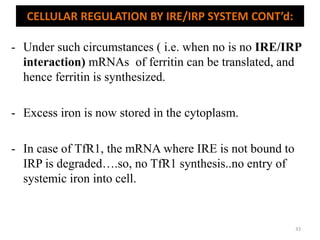 - Under such circumstances ( i.e. when no is no IRE/IRP
interaction) mRNAs of ferritin can be translated, and
hence ferritin is synthesized.
- Excess iron is now stored in the cytoplasm.
- In case of TfR1, the mRNA where IRE is not bound to
IRP is degraded….so, no TfR1 synthesis..no entry of
systemic iron into cell.
CELLULAR REGULATION BY IRE/IRP SYSTEM CONT’d:
33
 