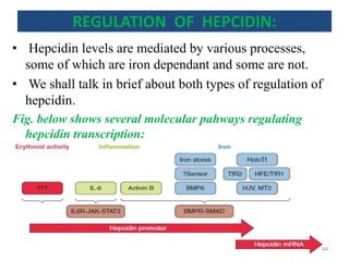 REGULATION OF HEPCIDIN:
• Hepcidin levels are mediated by various processes,
some of which are iron dependant and some are not.
• We shall talk in brief about both types of regulation of
hepcidin.
Fig. below shows several molecular pahways regulating
hepcidin transcription:
44
 