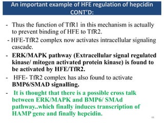 - Thus the function of TfR1 in this mechanism is actually
to prevent binding of HFE to TfR2.
- HFE-TfR2 complex now activates intracellular signaling
cascade.
- ERK/MAPK pathway (Extracellular signal regulated
kinase/ mitogen activated protein kinase) is found to
be activated by HFE/TfR2.
- HFE- TfR2 complex has also found to activate
BMP6/SMAD signalling.
- It is thought that there is a possible cross talk
between ERK/MAPK and BMP6/ SMAd
pathway..which finally induces transcription of
HAMP gene and finally hepcidin.
An important example of HFE regulation of hepcidin
CONT’D:
48
 