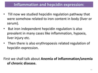 Inflammation and hepcidin expression:
• Till now we studied hepcidin regulation pathway that
were somehow related to iron content in body (liver or
serum).
• But iron independent hepcidin regulation is also
prevalent in many cases like inflammation, hypoxia,
liver injury etc.
• Then there is also erythropoesis related regulation of
hepcidin expression.
First we shall talk about Anemia of inflammation/anemia
of chronic disease.
53
 