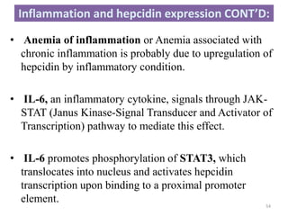 • Anemia of inflammation or Anemia associated with
chronic inflammation is probably due to upregulation of
hepcidin by inflammatory condition.
• IL-6, an inflammatory cytokine, signals through JAK-
STAT (Janus Kinase-Signal Transducer and Activator of
Transcription) pathway to mediate this effect.
• IL-6 promotes phosphorylation of STAT3, which
translocates into nucleus and activates hepcidin
transcription upon binding to a proximal promoter
element.
Inflammation and hepcidin expression CONT’D:
54
 