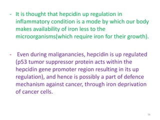 - It is thought that hepcidin up regulation in
inflammatory condition is a mode by which our body
makes availability of iron less to the
microorganisms(which require iron for their growth).
- Even during maliganancies, hepcidin is up regulated
(p53 tumor suppressor protein acts within the
hepcidin gene promoter region resulting in its up
regulation), and hence is possibly a part of defence
mechanism against cancer, through iron deprivation
of cancer cells.
56
 