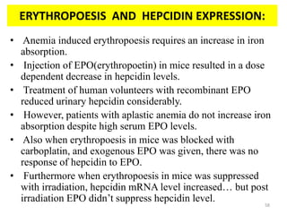 ERYTHROPOESIS AND HEPCIDIN EXPRESSION:
• Anemia induced erythropoesis requires an increase in iron
absorption.
• Injection of EPO(erythropoetin) in mice resulted in a dose
dependent decrease in hepcidin levels.
• Treatment of human volunteers with recombinant EPO
reduced urinary hepcidin considerably.
• However, patients with aplastic anemia do not increase iron
absorption despite high serum EPO levels.
• Also when erythropoesis in mice was blocked with
carboplatin, and exogenous EPO was given, there was no
response of hepcidin to EPO.
• Furthermore when erythropoesis in mice was suppressed
with irradiation, hepcidin mRNA level increased… but post
irradiation EPO didn’t suppress hepcidin level.
58
 