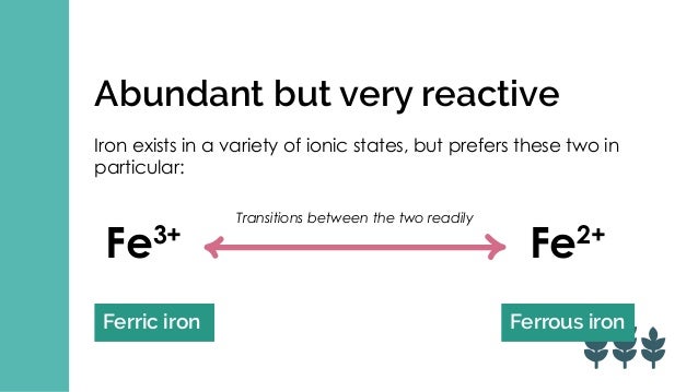 the beginner's guide to iron in aquaponics
