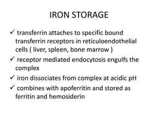 Iron in health and disease | PPTX