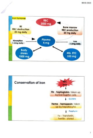 Iron Rbc Feedback Iron metabolism.pdf