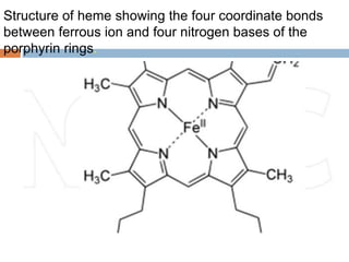 Structure of heme showing the four coordinate bonds
between ferrous ion and four nitrogen bases of the
porphyrin rings.
 
