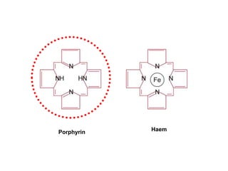 Porphyrin Haem
 