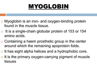 MYOGLOBIN
 Myoglobin is an iron- and oxygen-binding protein
found in the muscle tissue.
 It is a single-chain globular protein of 153 or 154
amino acids.
 Containing a haem prosthetic group in the center
around which the remaining apoprotein folds.
 It has eight alpha helices and a hydrophobic core.
 It is the primary oxygen-carrying pigment of muscle
tissues
 