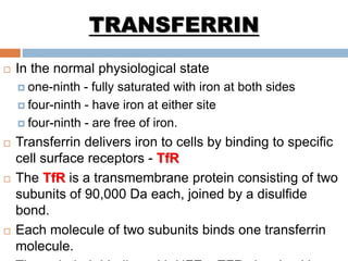 TRANSFERRIN
 In the normal physiological state
 one-ninth - fully saturated with iron at both sides
 four-ninth - have iron at either site
 four-ninth - are free of iron.
 Transferrin delivers iron to cells by binding to specific
cell surface receptors - TfR
 The TfR is a transmembrane protein consisting of two
subunits of 90,000 Da each, joined by a disulfide
bond.
 Each molecule of two subunits binds one transferrin
molecule.
 