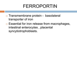 FERROPORTIN
 Transmembrane protein - basolateral
transporter of iron
 Essential for iron release from macrophages,
intestinal enterocytes , placental
syncytiotrophoblasts.
 