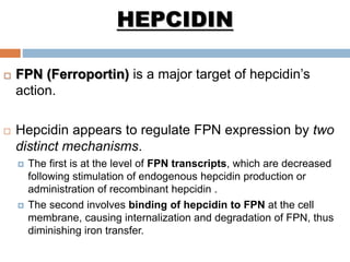  FPN (Ferroportin) is a major target of hepcidin’s
action.
 Hepcidin appears to regulate FPN expression by two
distinct mechanisms.
 The first is at the level of FPN transcripts, which are decreased
following stimulation of endogenous hepcidin production or
administration of recombinant hepcidin .
 The second involves binding of hepcidin to FPN at the cell
membrane, causing internalization and degradation of FPN, thus
diminishing iron transfer.
HEPCIDIN
 