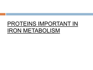 PROTEINS IMPORTANT IN
IRON METABOLISM
 