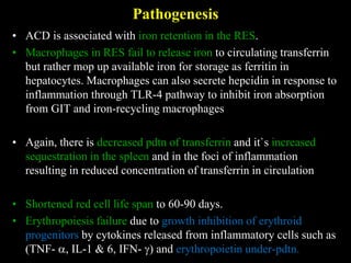 IRON METABOLISM & MICROCYTIC HYPOCHROMIC ANAEMIAS.pptx